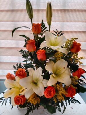 Lirios de Otoño  R25