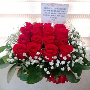 Caja de 16 rosas R17