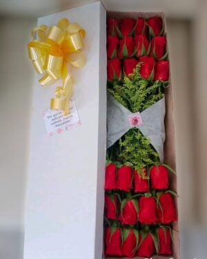Caja por 24 rosas  R32
