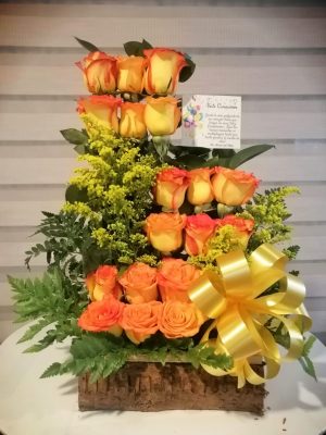 Arreglo 18 rosas primavera R29