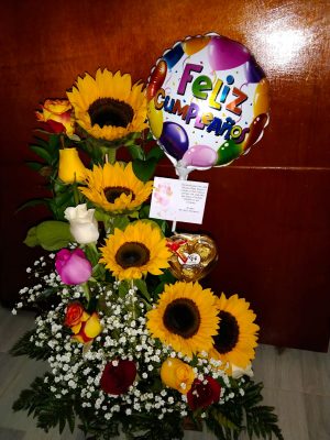 Girasoles dulces  R34