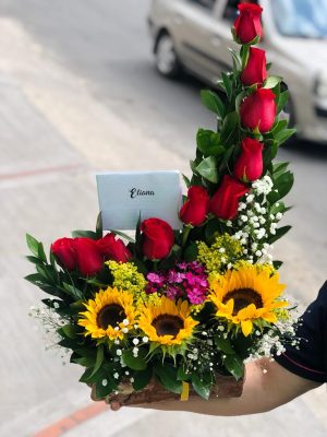 Espiral girasol Mini R09 R13